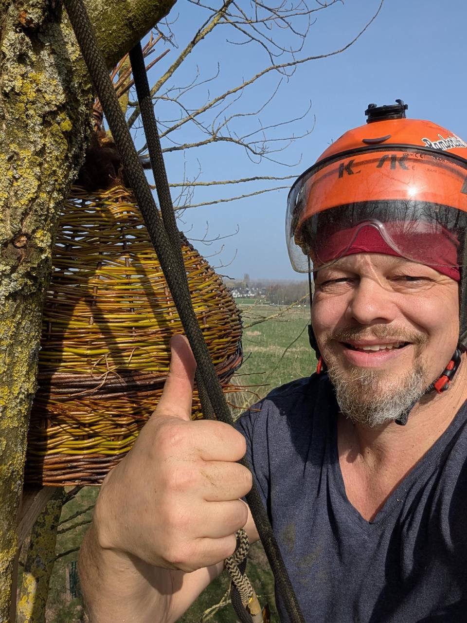 Boomklimmer van Kast Klimmers aan het werk in een boom